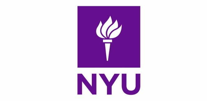 Postdoctoral Positions at New York University