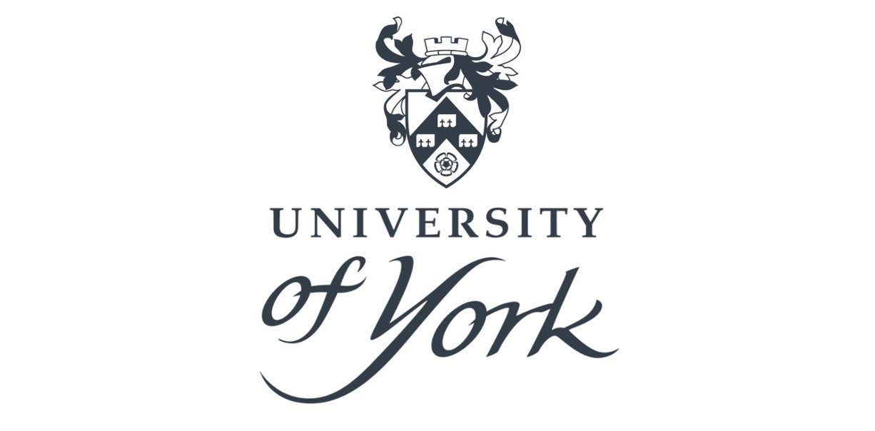 phd in education york