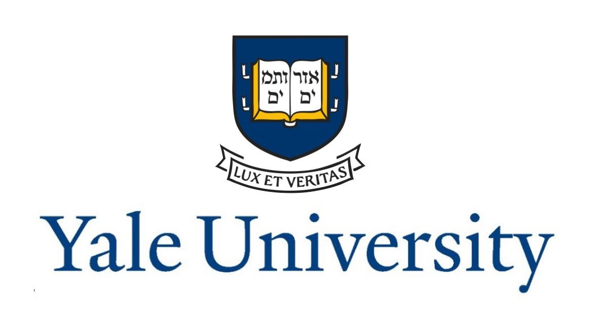 yale university fully funded phd in law