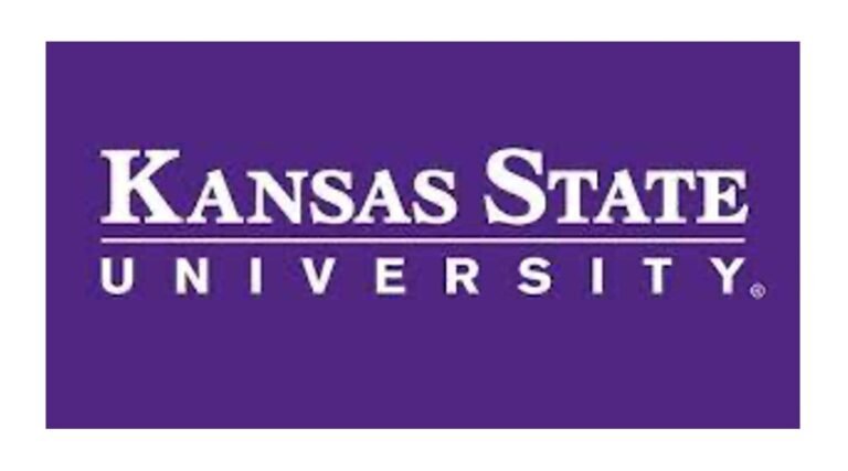Fully Funded PhD in Social Work at University of Kansas