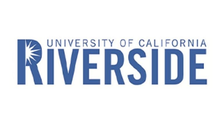 PhD in Business Administration at University of California Riverside