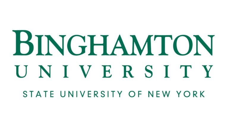 PhD in Management at Binghamton University